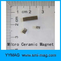 China Mikro-Magnet Keramik